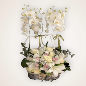  Ankara Çiçek 4 Dal Beyaz Orkide Tasarım